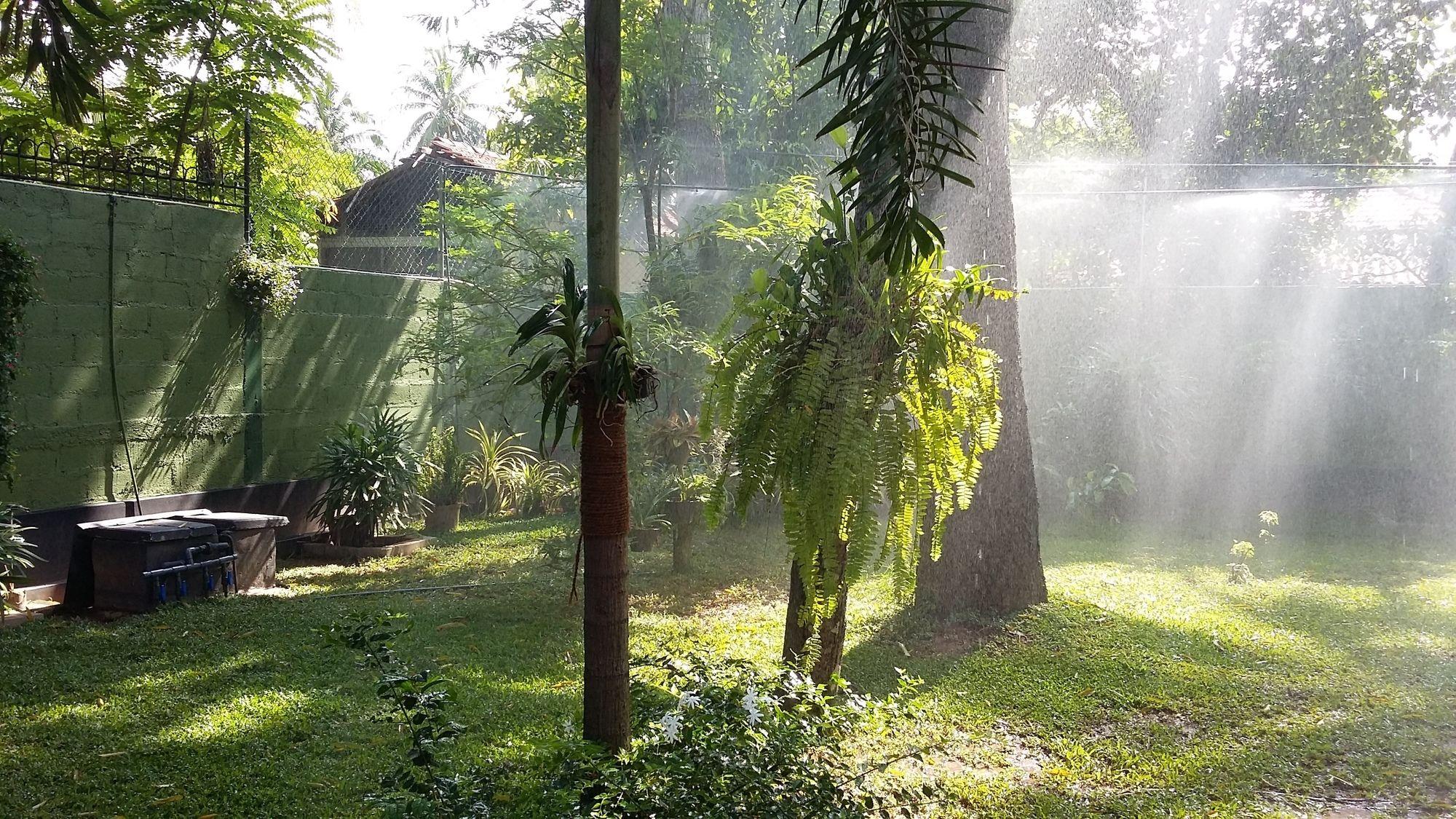 West Dene Bed & Breakfast Negombo Bagian luar foto