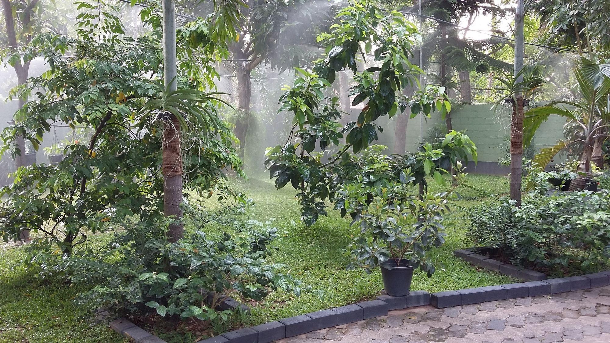 West Dene Bed & Breakfast Negombo Bagian luar foto