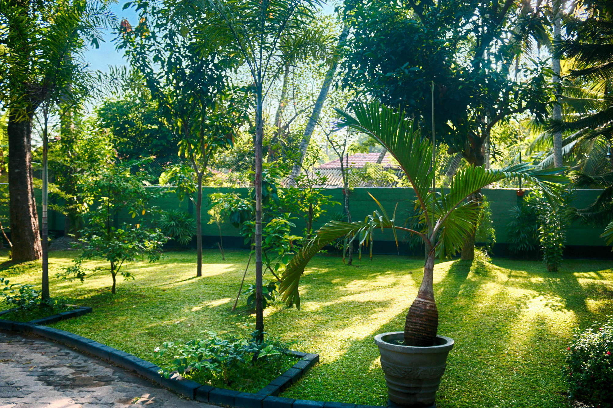 West Dene Bed & Breakfast Negombo Bagian luar foto