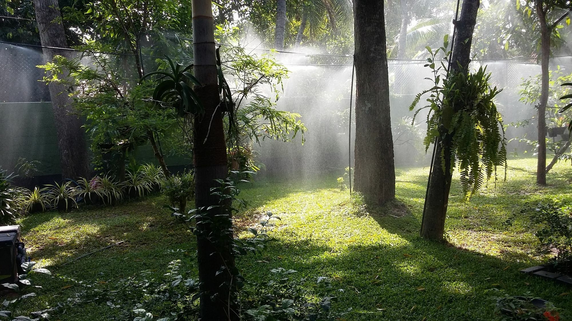 West Dene Bed & Breakfast Negombo Bagian luar foto